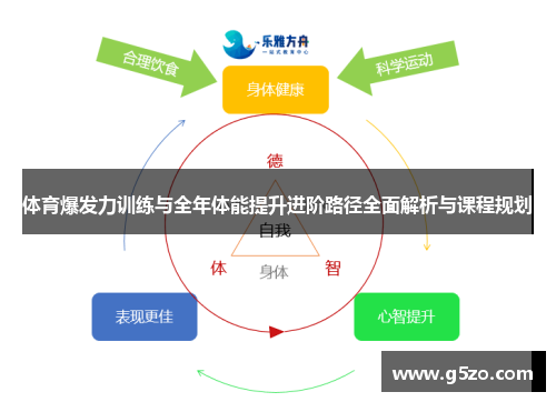 体育爆发力训练与全年体能提升进阶路径全面解析与课程规划